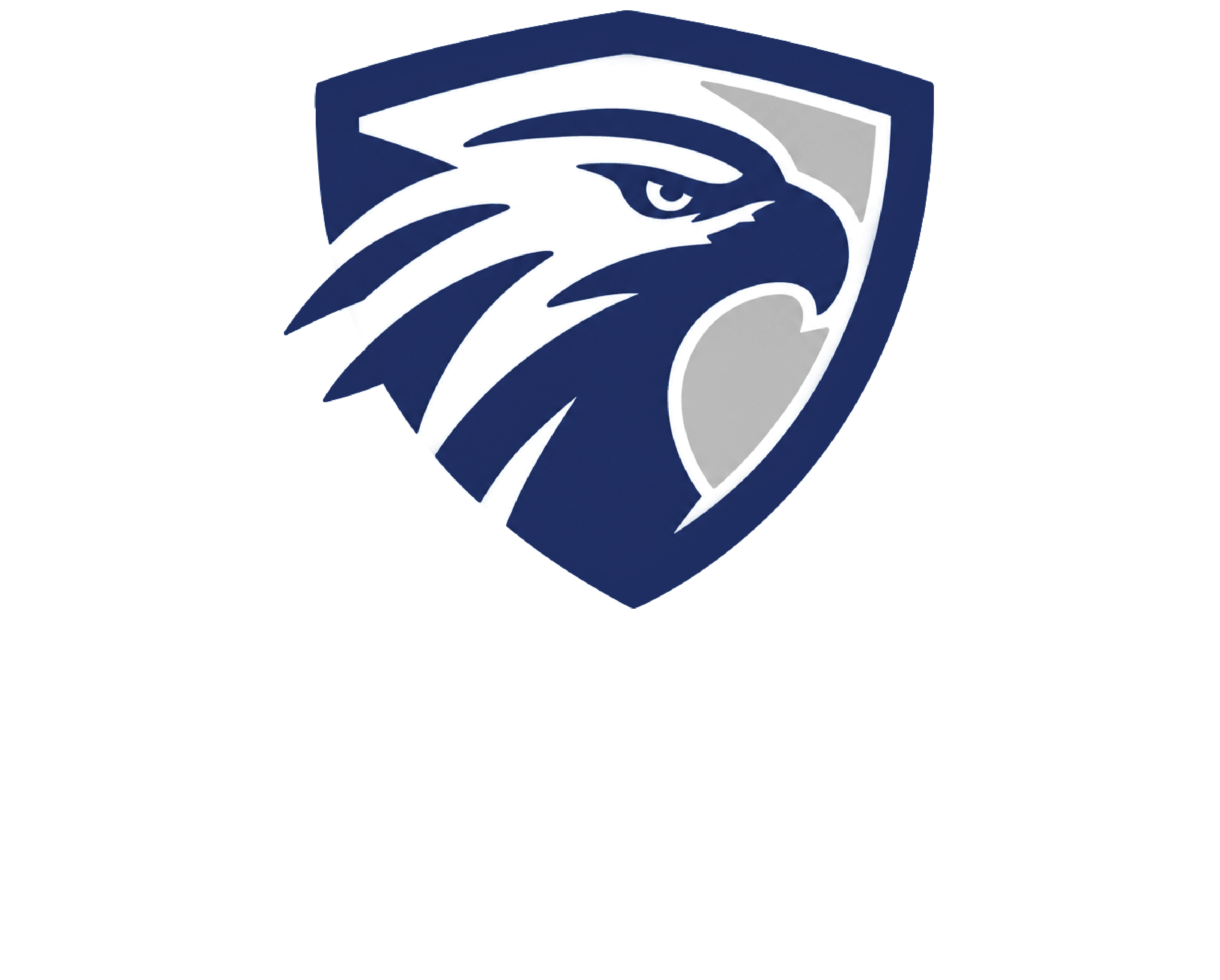Eagle Security